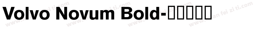 Volvo Novum Bold字体转换